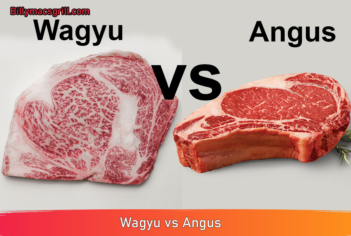Wagyu vs Angus: A Tale of Two Tantalizing Steaks